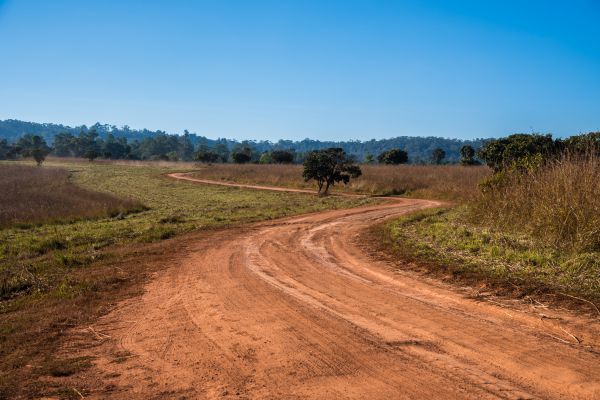 Dirt Driveway Repair in Pasco