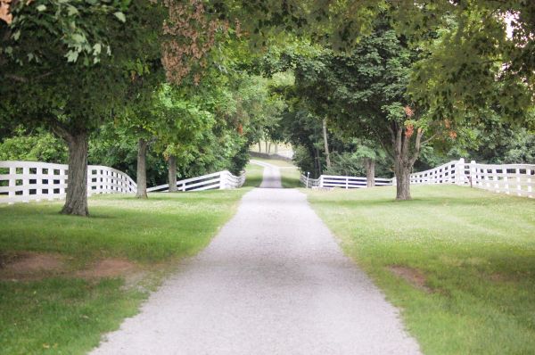 Gravel Driveway Construction in Pasco