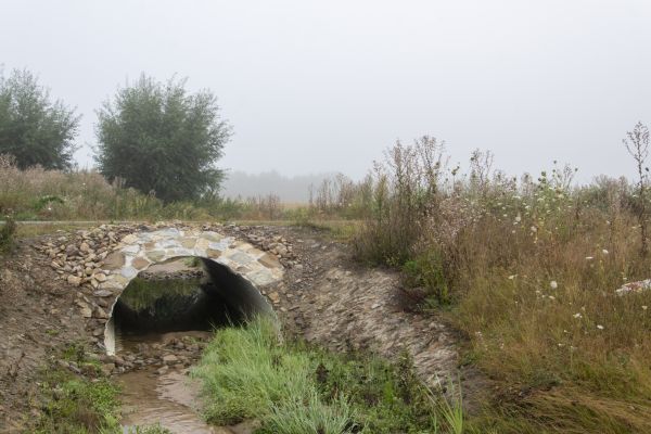 Culvert Excavation in Pasco